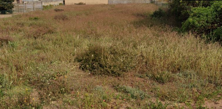  Bedroom Property for Sale in Vredenburg Western Cape